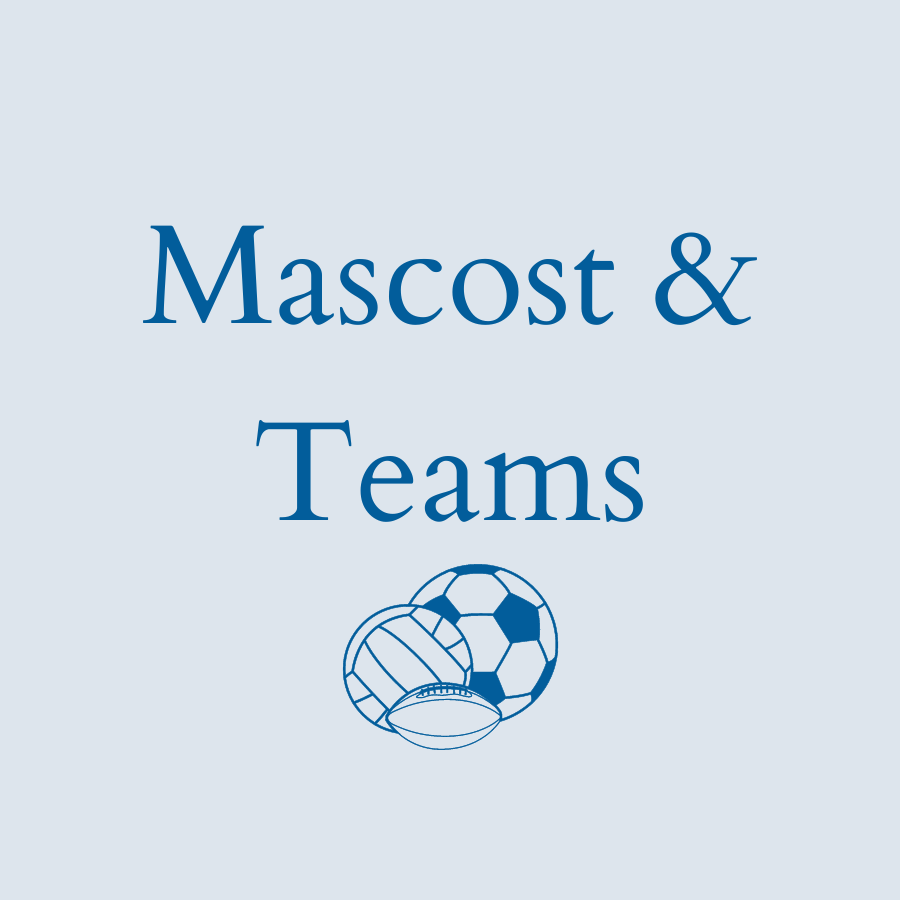 Mascots/Teams - Applique