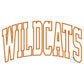 WILDCATS Arched Applique Embroidery Design Machine Embroidery Satin Edge Two Sizes 6x10 and 8x12 Hoop
