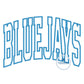 BLUEJAYS Arched Applique Embroidery Design Satin Stitch Four Sizes 9x9, 6x10, 7x12, 8x12 Hoops