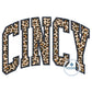 Cincy Arched Satin Applique Embrodiery Cincinnati OH Ohio Five Sizes 5x7, 8x8, 6x10, 7x12, and 8x12 Hoop