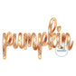 Pumpkin Script Zigzag Applique Machine Embroidery Design Autumn Four Sizes 8x8, 6x10, 9x9, and 7x12 Hoop
