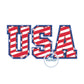 USA Two Layer Applique Embroidery Design Machine Embroidery Two Sizes Two Color ZigZag Stitch United States of America